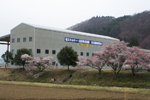kojo